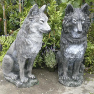 Male Wolf